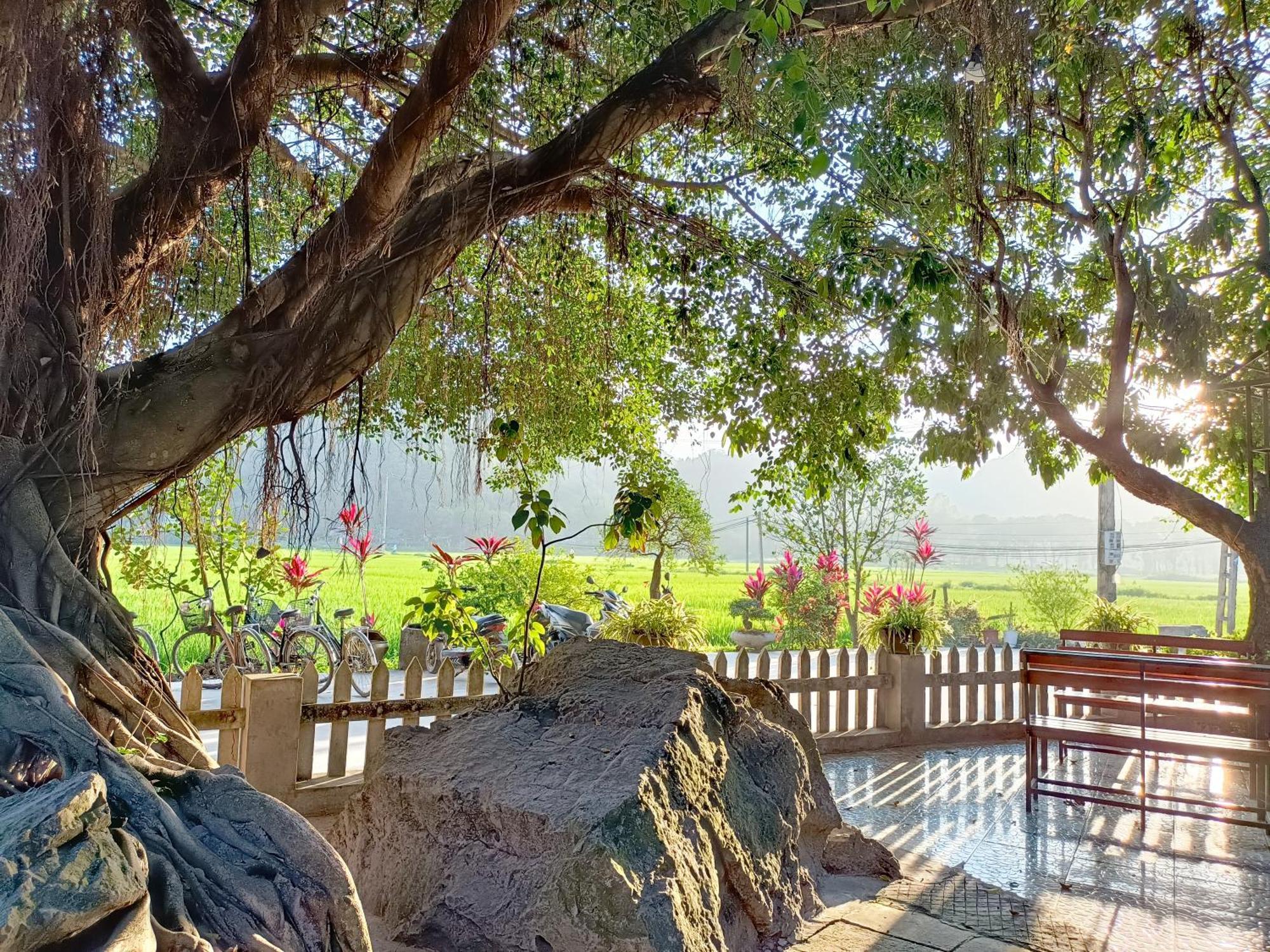 Tam Coc Sunshine Homestay Ninh Binh Exterior photo